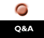 Q & A